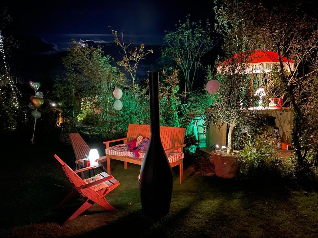 Dragonfly Glamping Spa Retreat Ashford  Exteriör bild