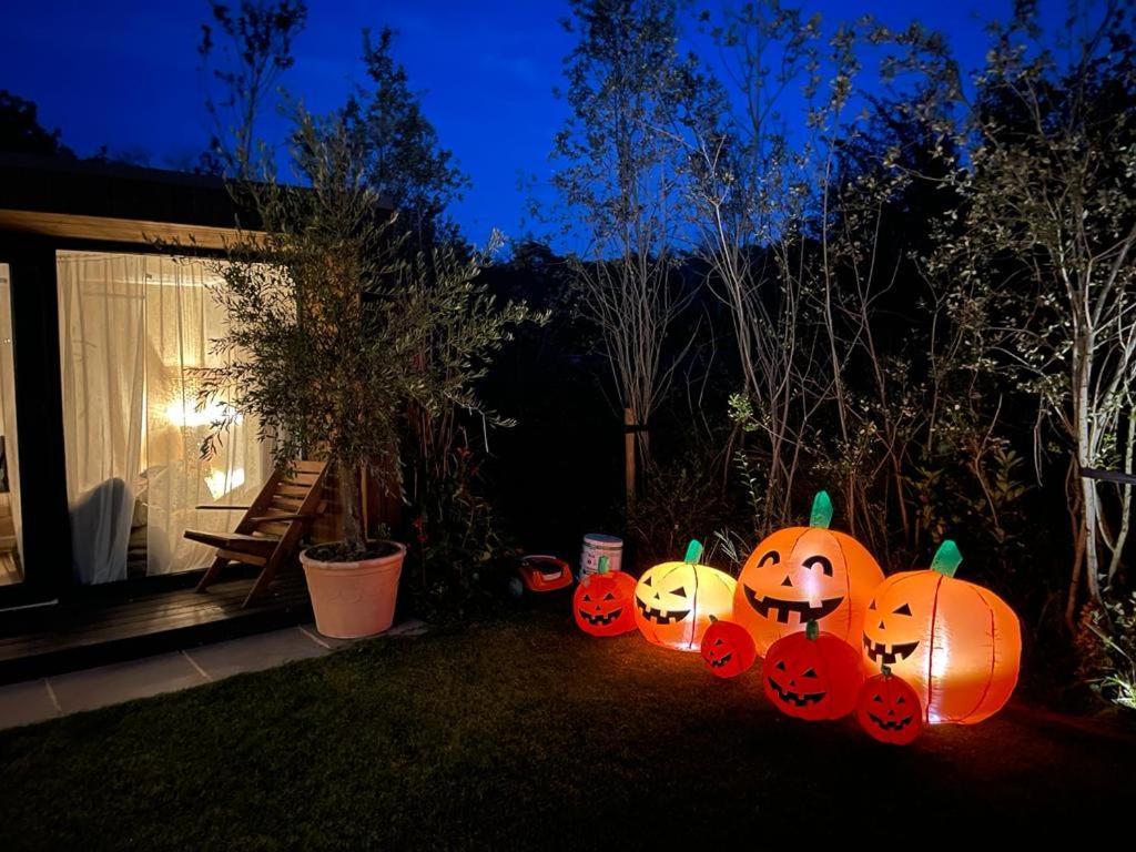 Dragonfly Glamping Spa Retreat Ashford  Exteriör bild